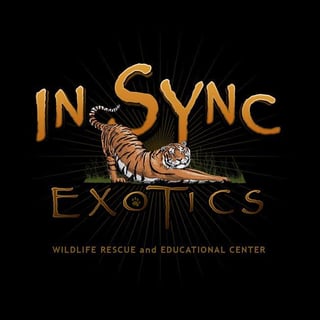 In Sync Exotics